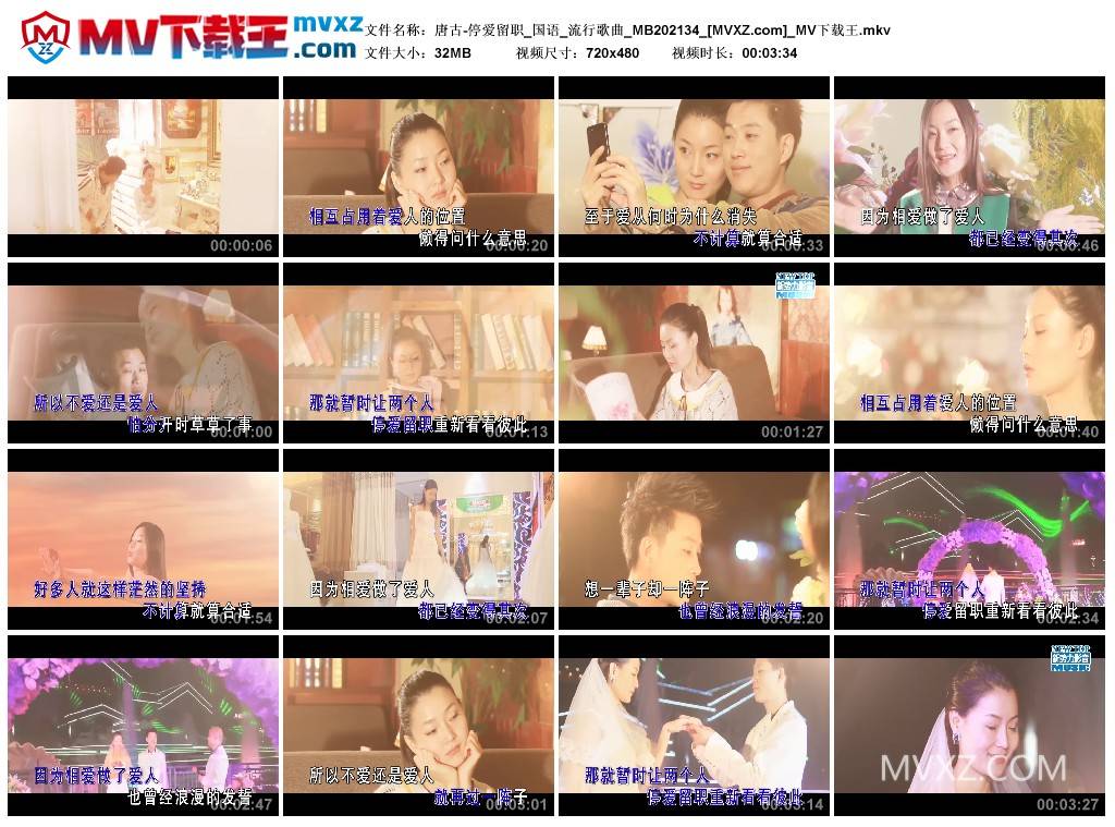 唐古-停爱留职_国语_流行歌曲_MB202134